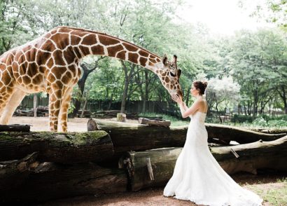 Chicago Brookfield Zoo Wedding » Hazel & Skye